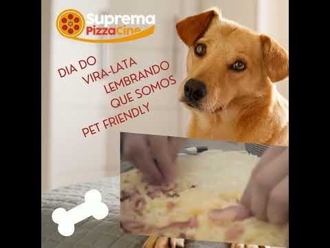 PET e bem vindo na Suprema Pizza Cine Nosso espaço no Deck é para seu bichinho de estimação,