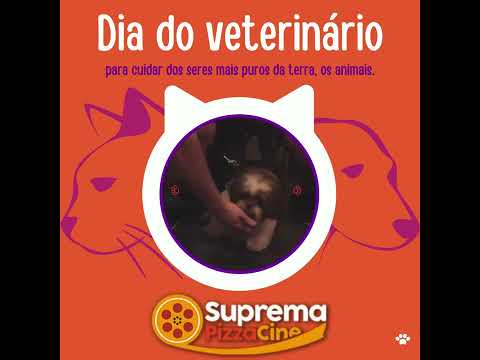 Feliz dia Dos Veterinários Qualidade garantida Chama no ZAP (11) 9 5165-6177