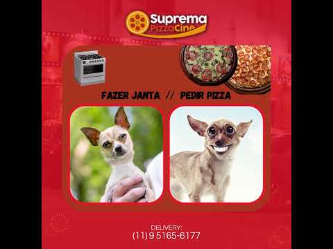 Fazer janta ou pedir pizza ? 🐶🍕😍 e você vai pedir do que hoje  ? (11) 9 5165-6177