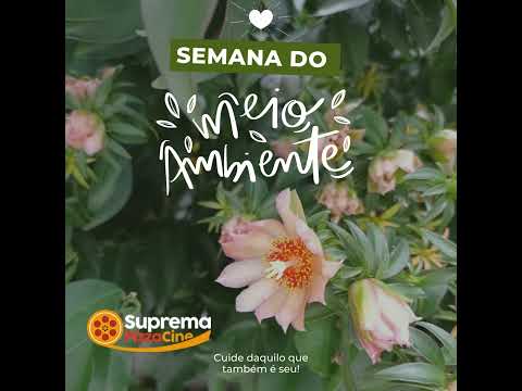 Semana do meio ambiente Suprema Pizza Cine cuidando daquilo que também e nosso  #pizzariazonanorte