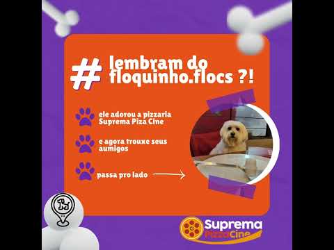 Lembram do @floquinho.flocs ?! e agora trouxe seus #aumigos Obrigado pela visita dos nossos amigos